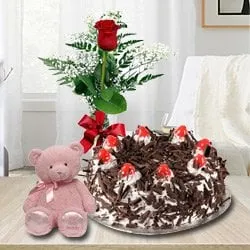 Send Online Black Forest Cake with Rose N Teddy