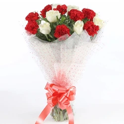 Buy Tender Roses n Carnations Hand Bunch