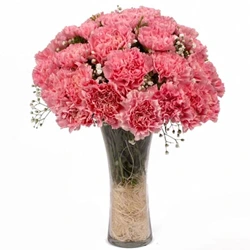 Order Pink Carnations in a Vase