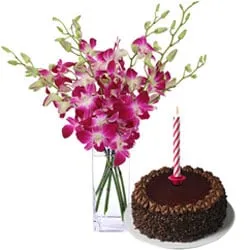 Orchid and Cake Combo