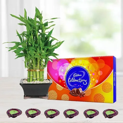 Lucky Bamboo Tree with Cadburys Chocolates n Diya