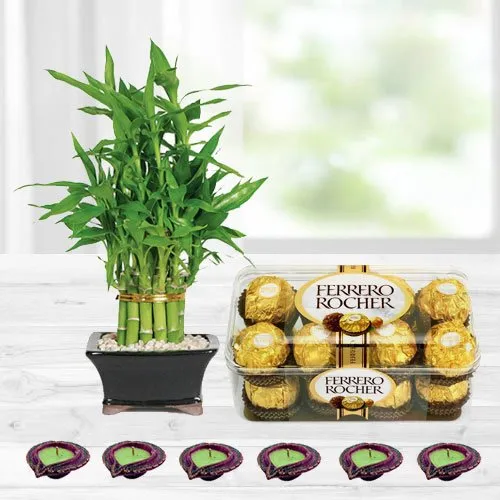 Lucky Bamboo Plant with Ferrero Rocher n Diya
