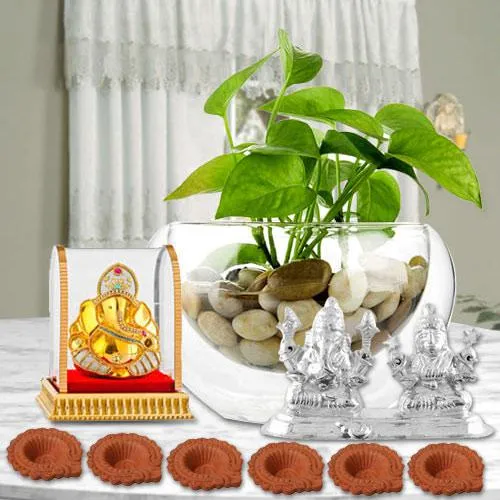 Eco Friendly Diwali Hamper of Money Plant Haldiram Sweets Idol n Free Diya