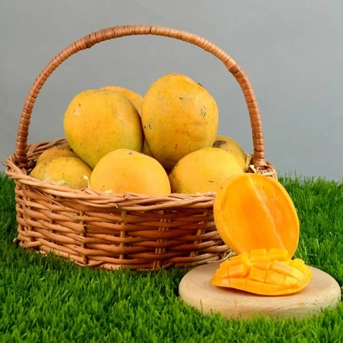 Alphanso Mango Basket