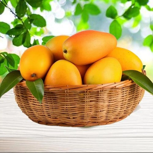 Sumptuous Mango Celebrations