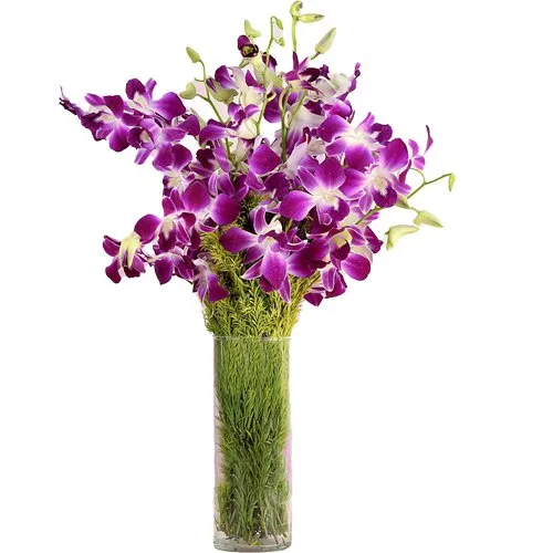 Gift of Fresh Orchids Arranged in a Glass Vase