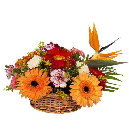 Lovely Basket Arrangement of Carnations and Gerberas