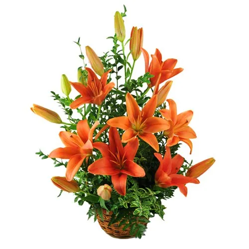 Lovely Basket of Orange Lilies