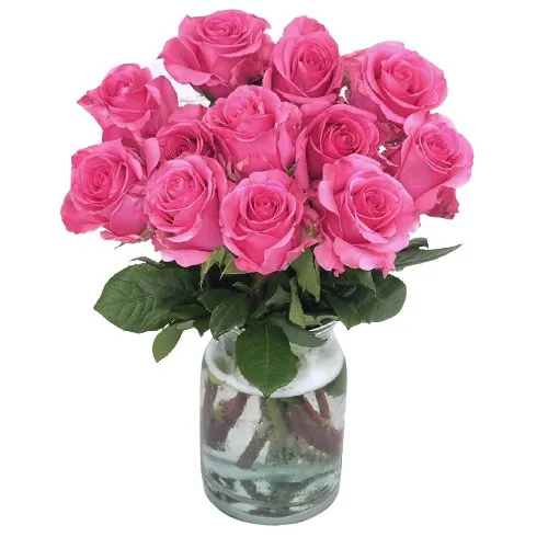 Fresh Pink Roses in Vase