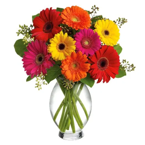 Awesome Mixed Gerberas in Glass Vase
