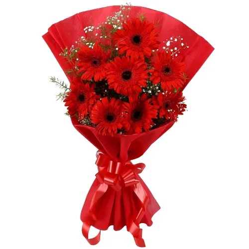 Stunning Red Gerberas Bouquet