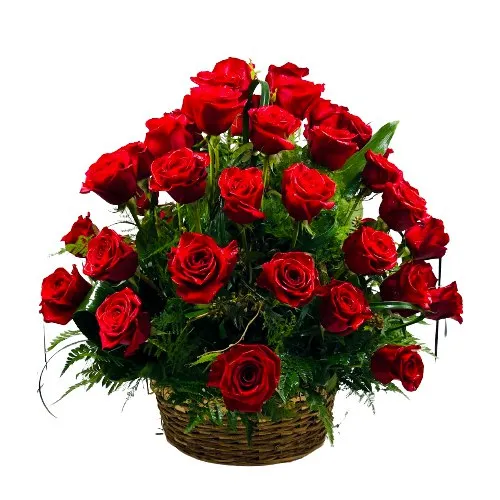 Beautiful Basket of Dutch Roses