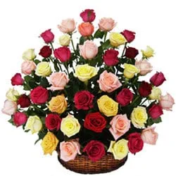 Divine Basket of Mixed Coloured Roses