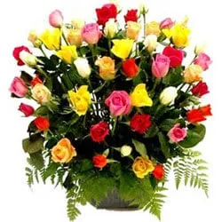 Blooming Mixed Roses Basket