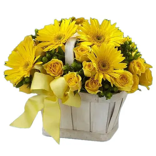 Blushing Yellow Roses N Gerberas Basket