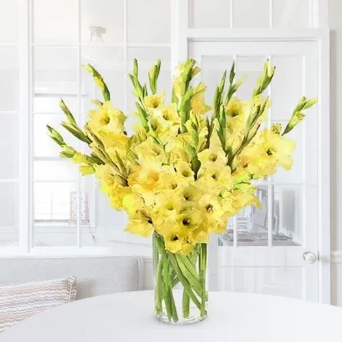Amazing Yellow Gladiolus in a Glass Vase
