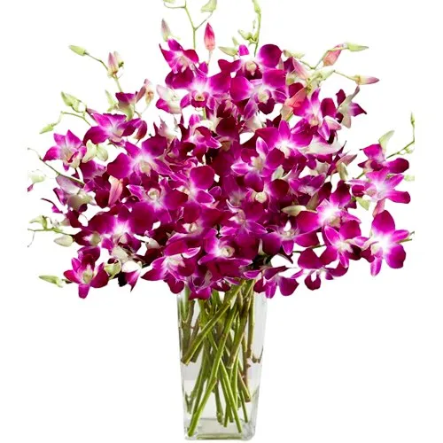 Amazing Orchids in Glass Vase