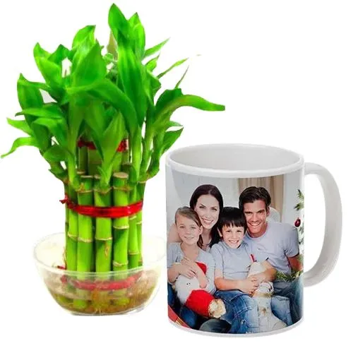Elegant Personalized Coffee Mug with Two Tier Bamboo Plant