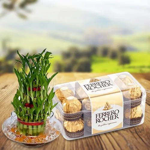 Shop for 2 Tier Bamboo Plant with Ferrero Rocher Chocolates