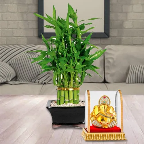 Marvelous 2 Tier Lucky Bamboo Plant with Vignesh Ganesh Murti