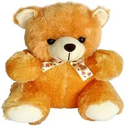 Shop for Teddy Bear Soft Toy